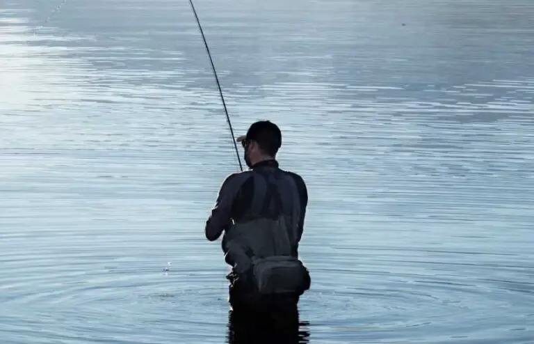 Navigation Necessities: Using Technology to Find Fish in Finland