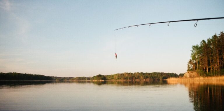Pro Angler Insights: Top Tips for Success in Finnish Waters